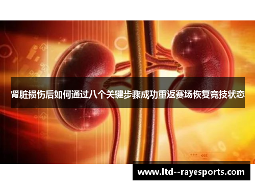 肾脏损伤后如何通过八个关键步骤成功重返赛场恢复竞技状态
